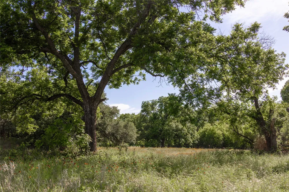 92 County Road 434 De Leon, TX 76446