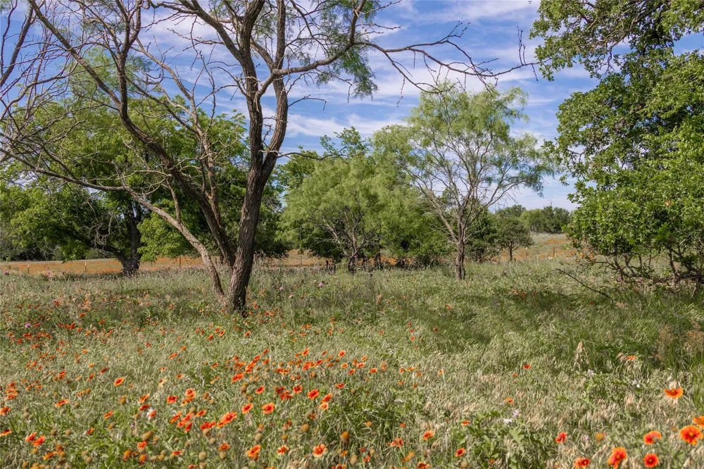 92 County Road 434 De Leon, TX 76446