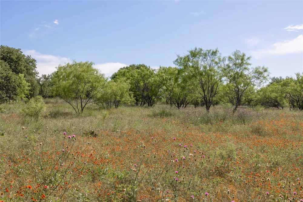 92 County Road 434 De Leon, TX 76446