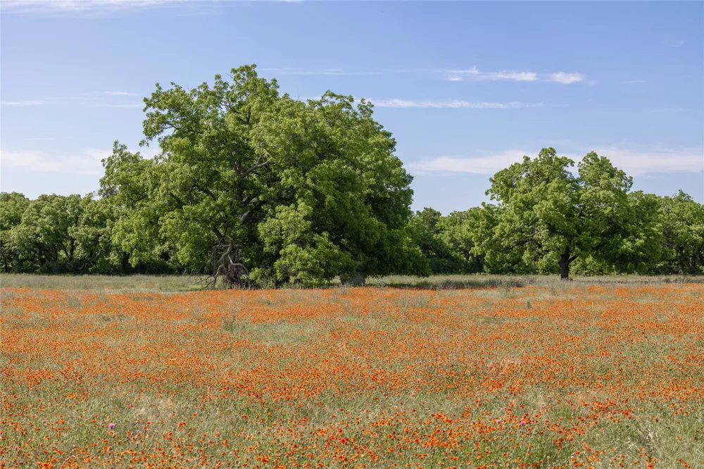 92 County Road 434 De Leon, TX 76446