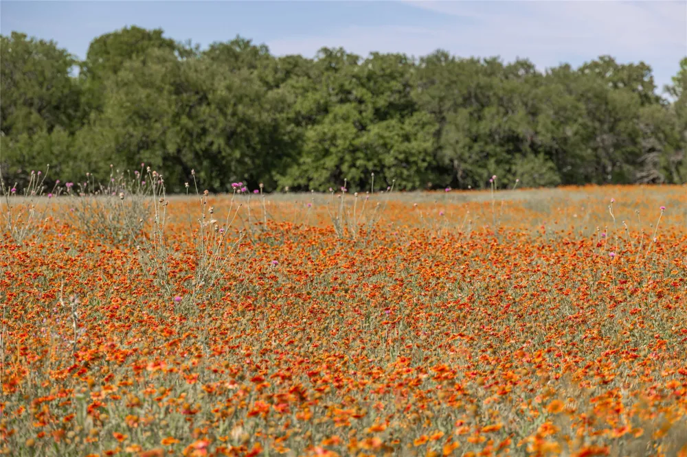 92 County Road 434 De Leon, TX 76446