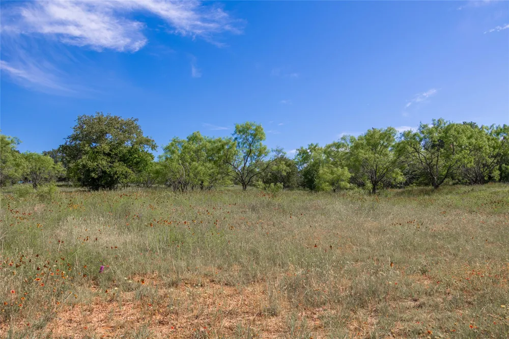 92 County Road 434 De Leon, TX 76446