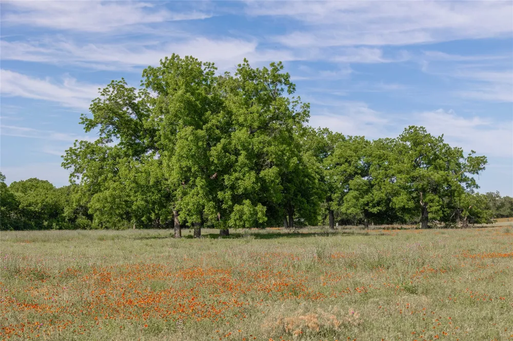 92 County Road 434 De Leon, TX 76446