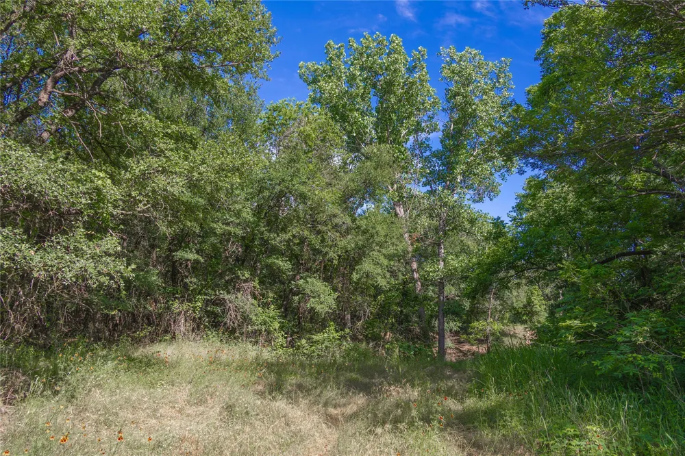 92 County Road 434 De Leon, TX 76446