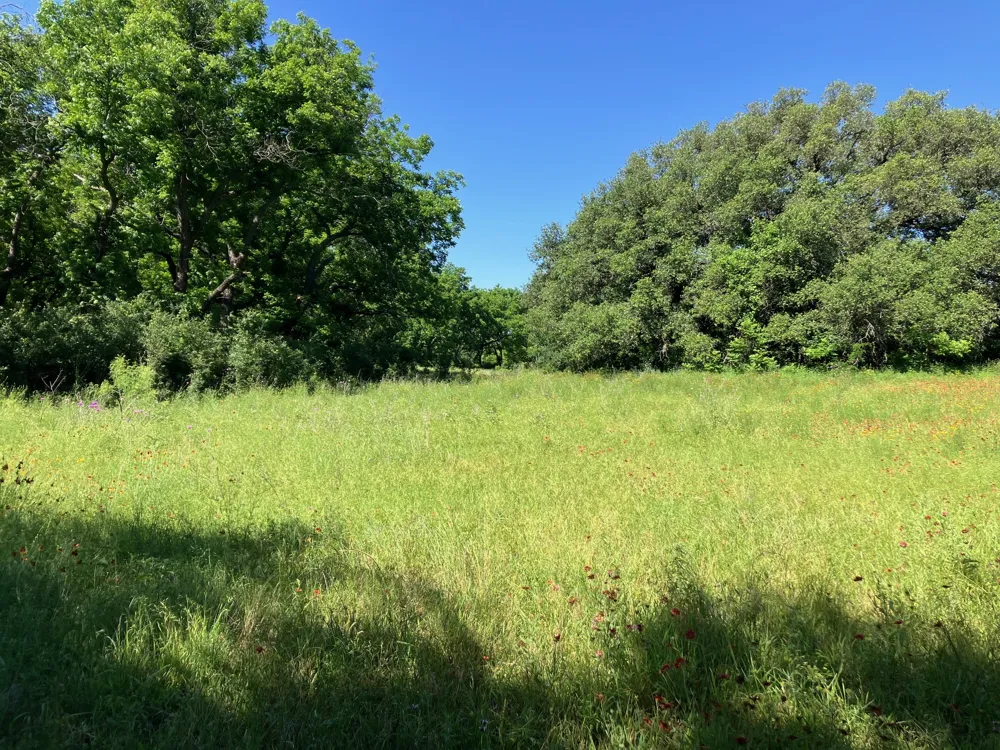 92 County Road 434 De Leon, TX 76446
