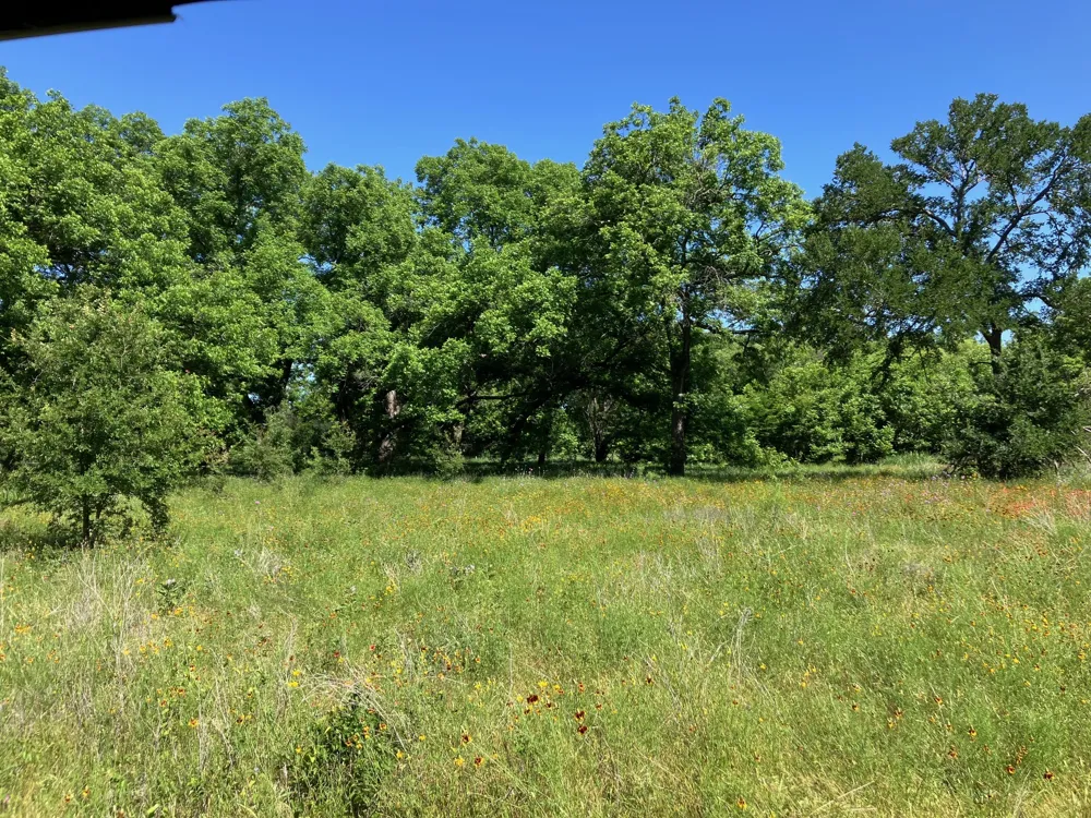92 County Road 434 De Leon, TX 76446