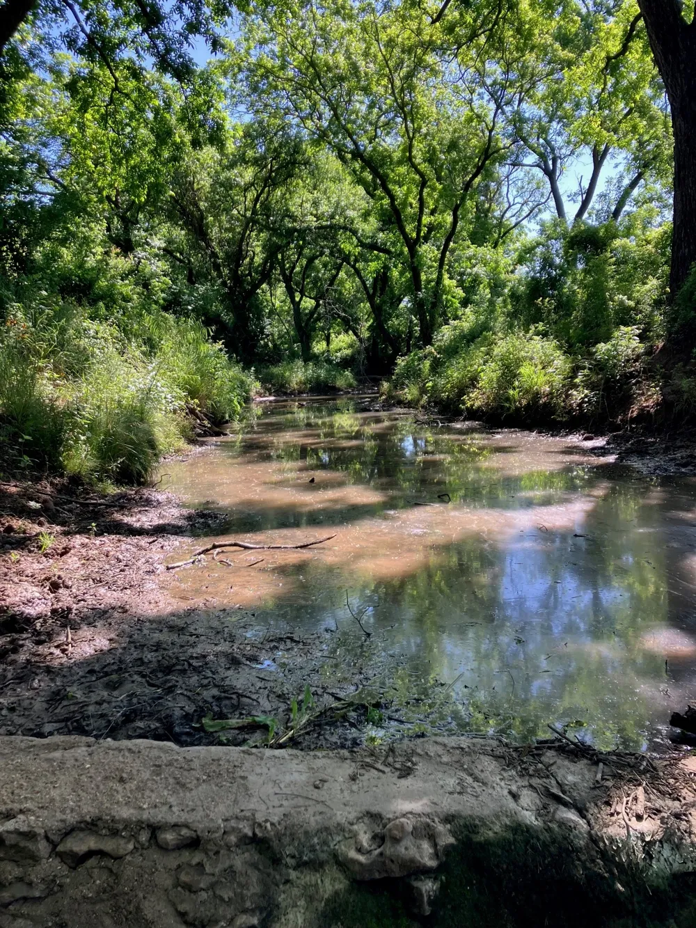 92 County Road 434 De Leon, TX 76446