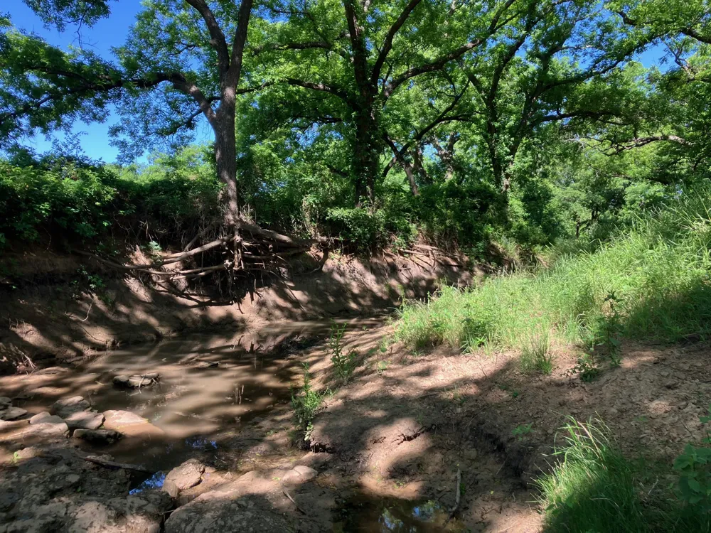 92 County Road 434 De Leon, TX 76446