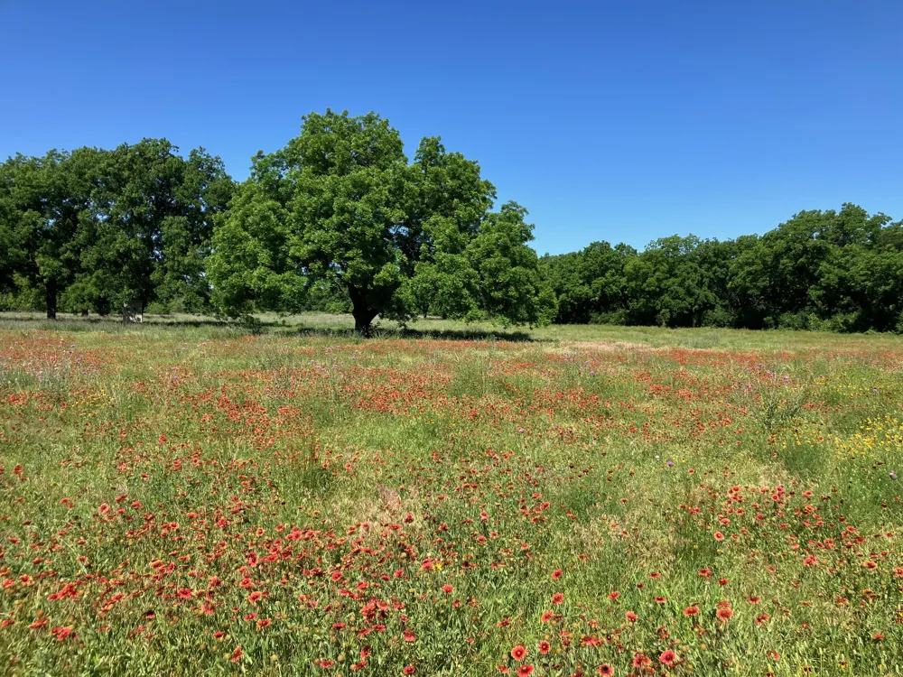 92 County Road 434 De Leon, TX 76446