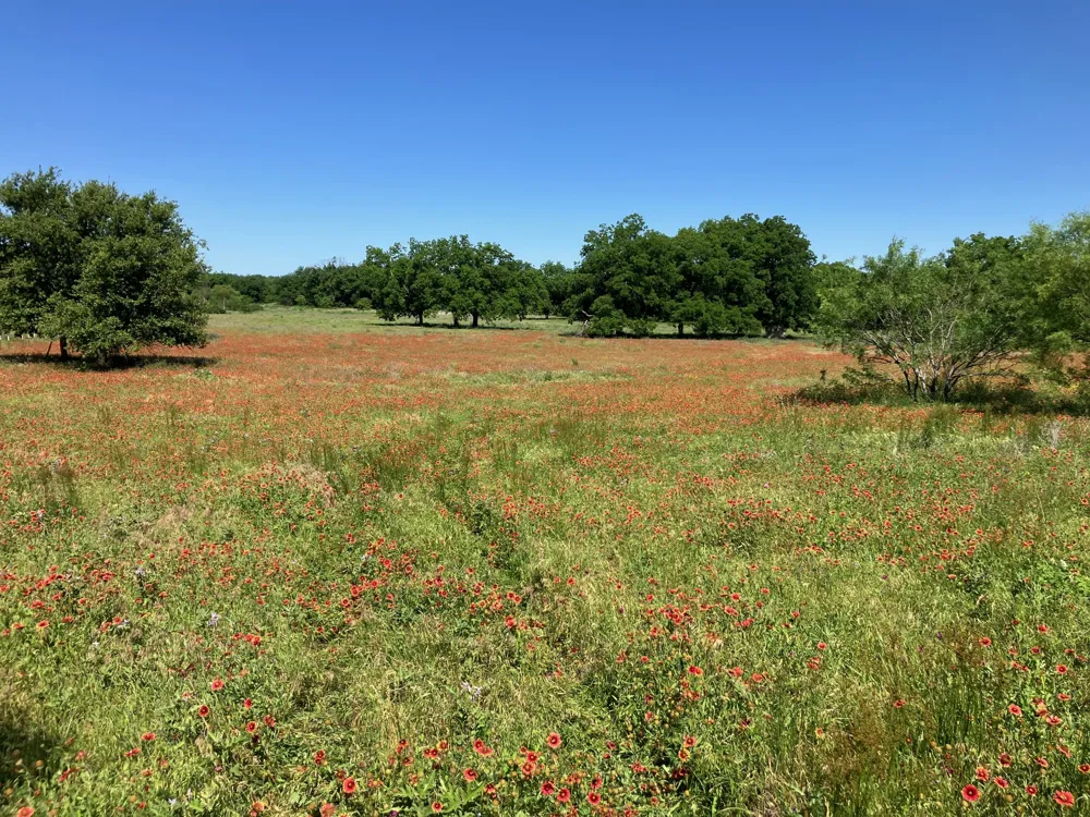 92 County Road 434 De Leon, TX 76446