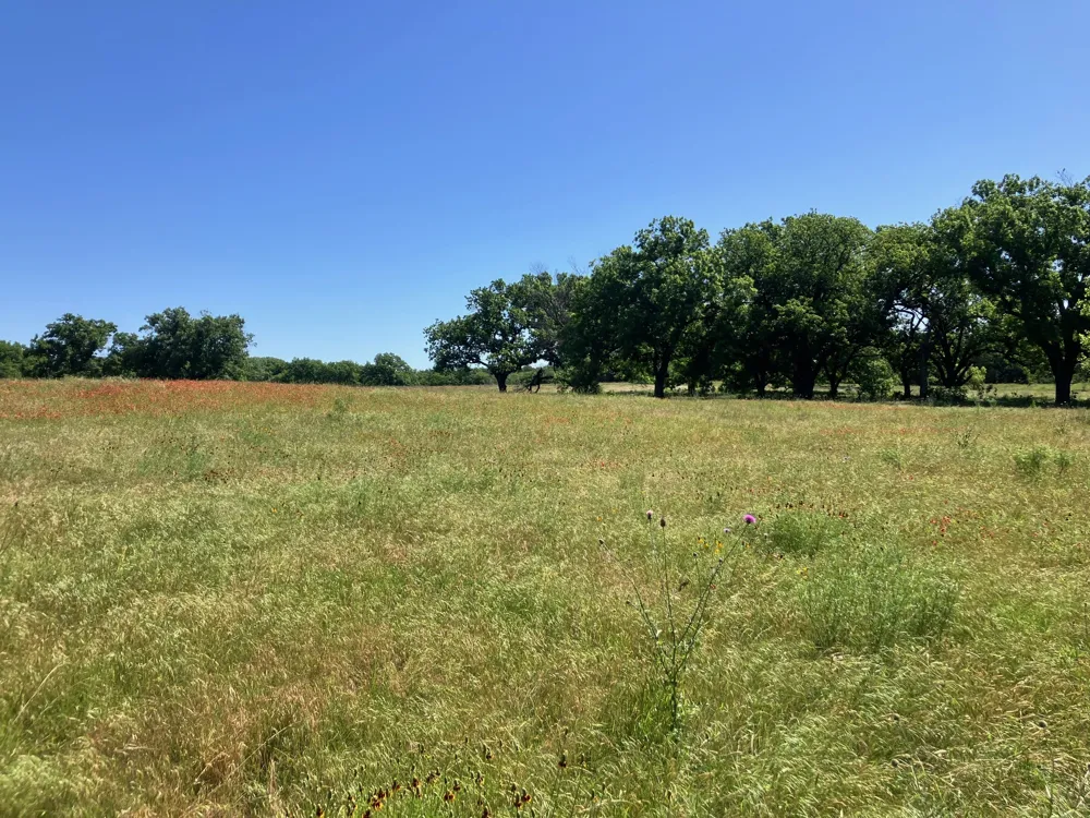 92 County Road 434 De Leon, TX 76446