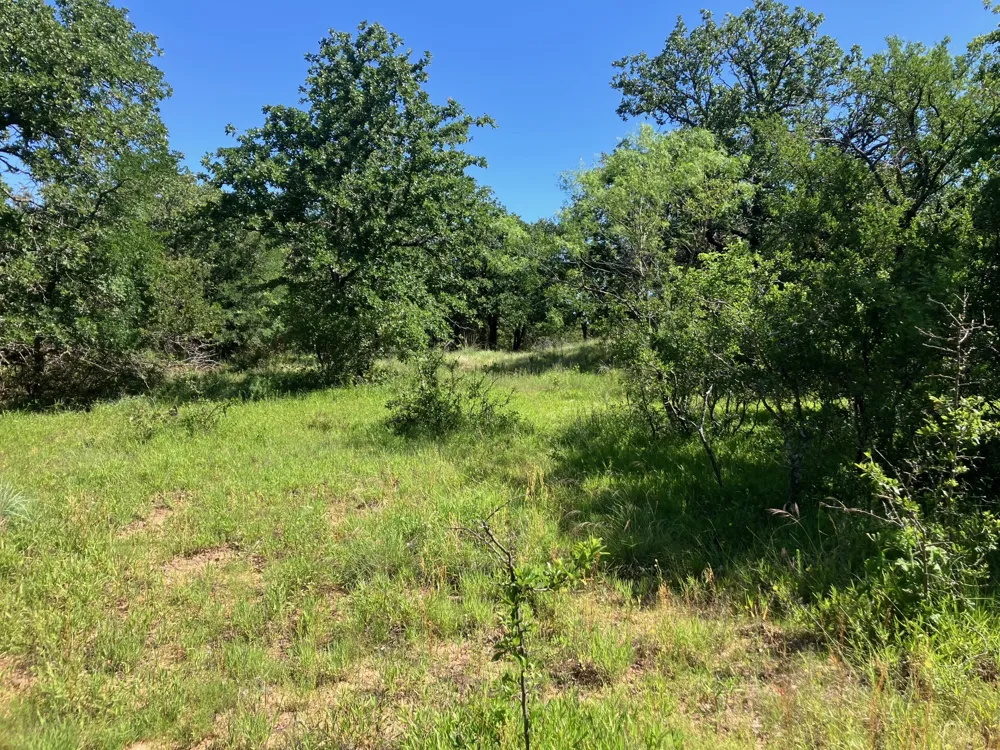 92 County Road 434 De Leon, TX 76446