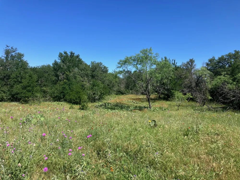 92 County Road 434 De Leon, TX 76446