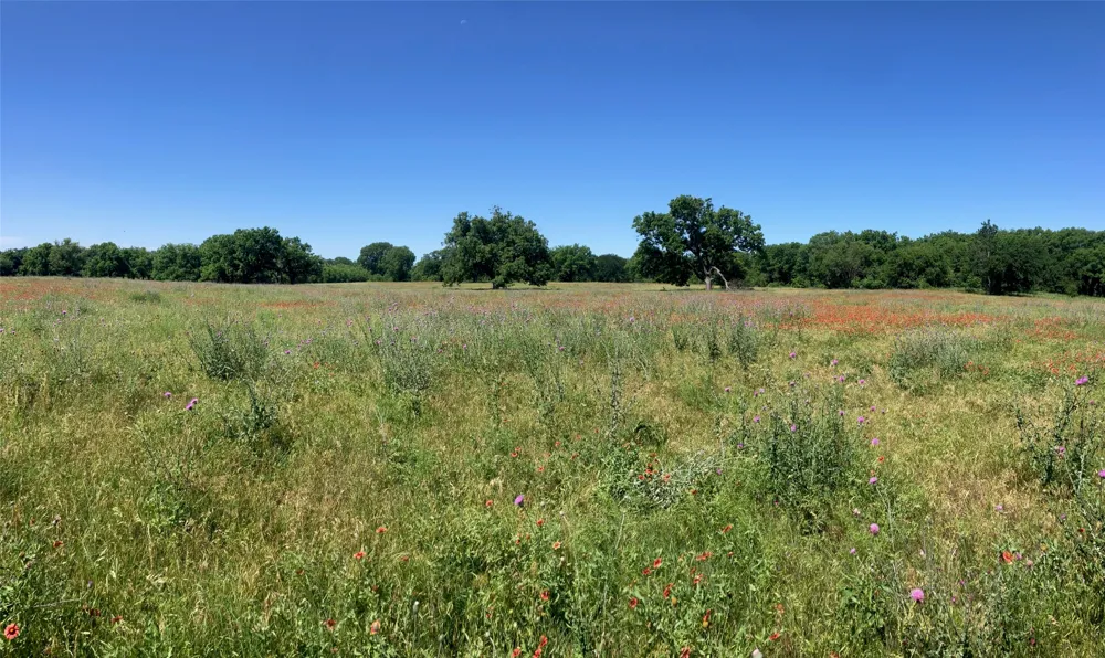 92 County Road 434 De Leon, TX 76446