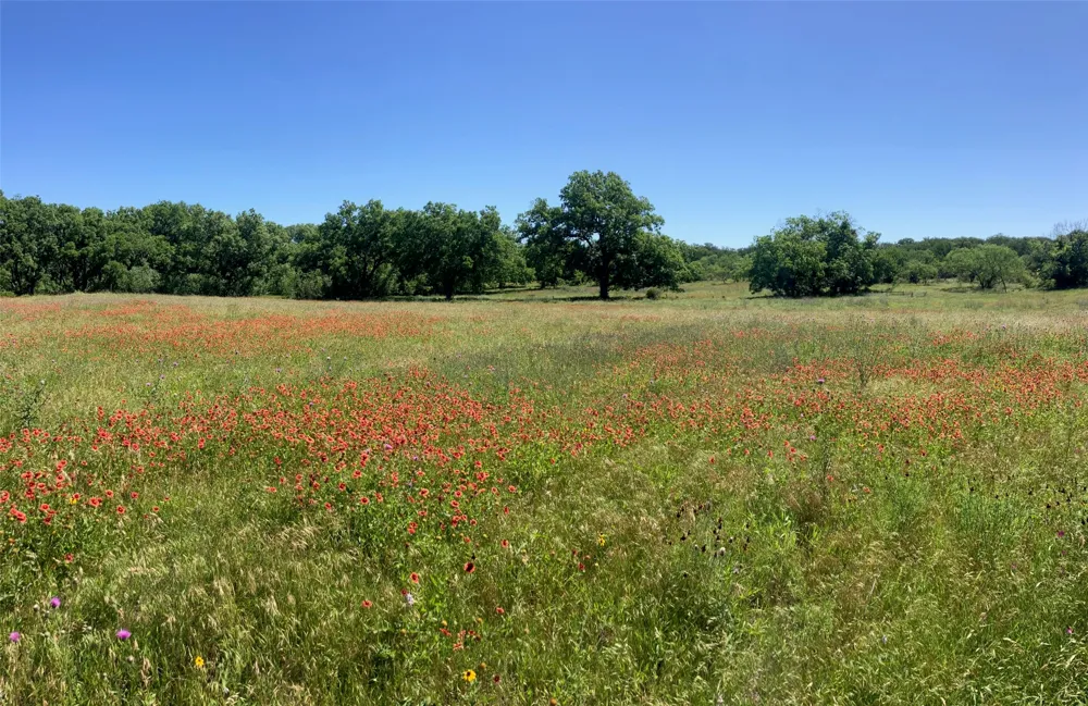 92 County Road 434 De Leon, TX 76446