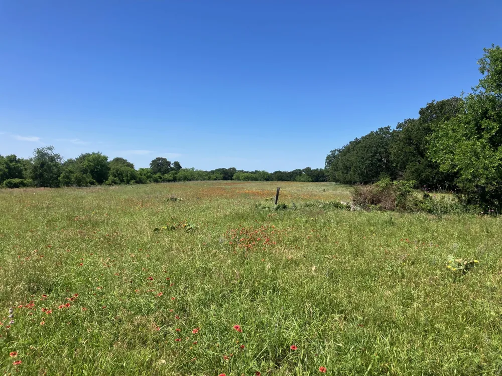 92 County Road 434 De Leon, TX 76446