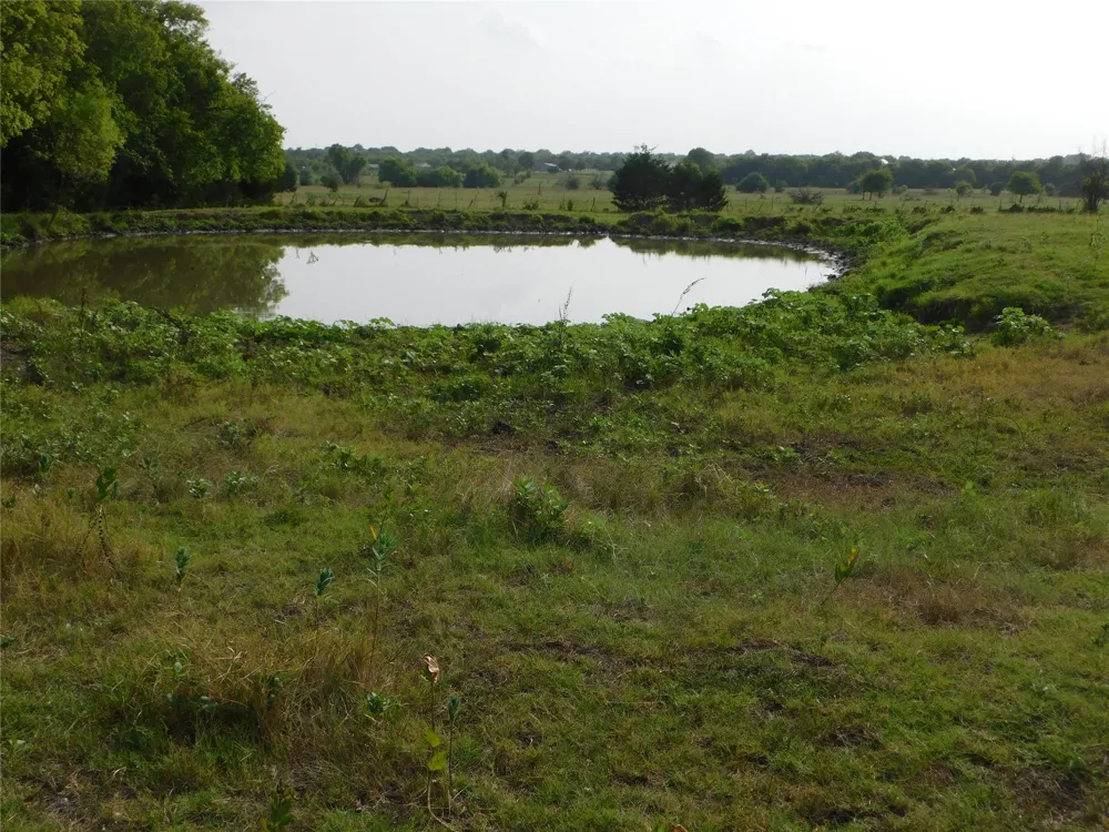 Fm-272 Celeste, TX 75423