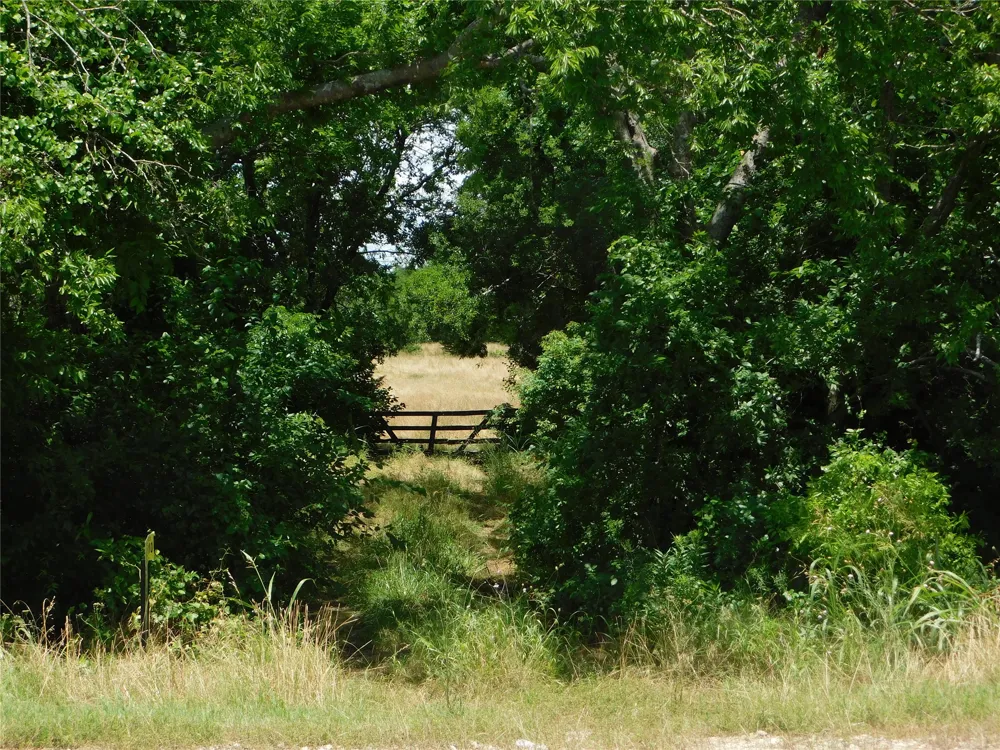 Fm-272 Celeste, TX 75423
