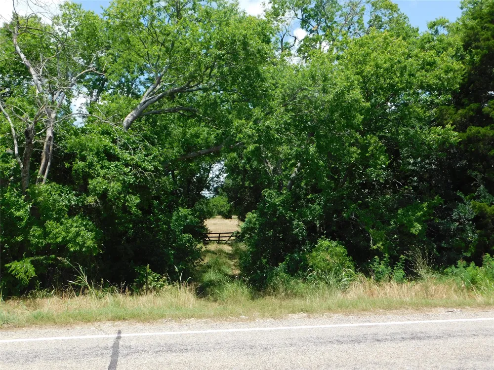 Fm-272 Celeste, TX 75423