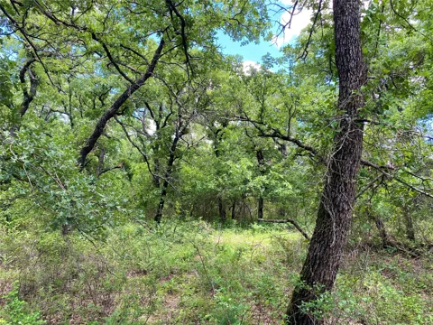 106 Hondo Drive
