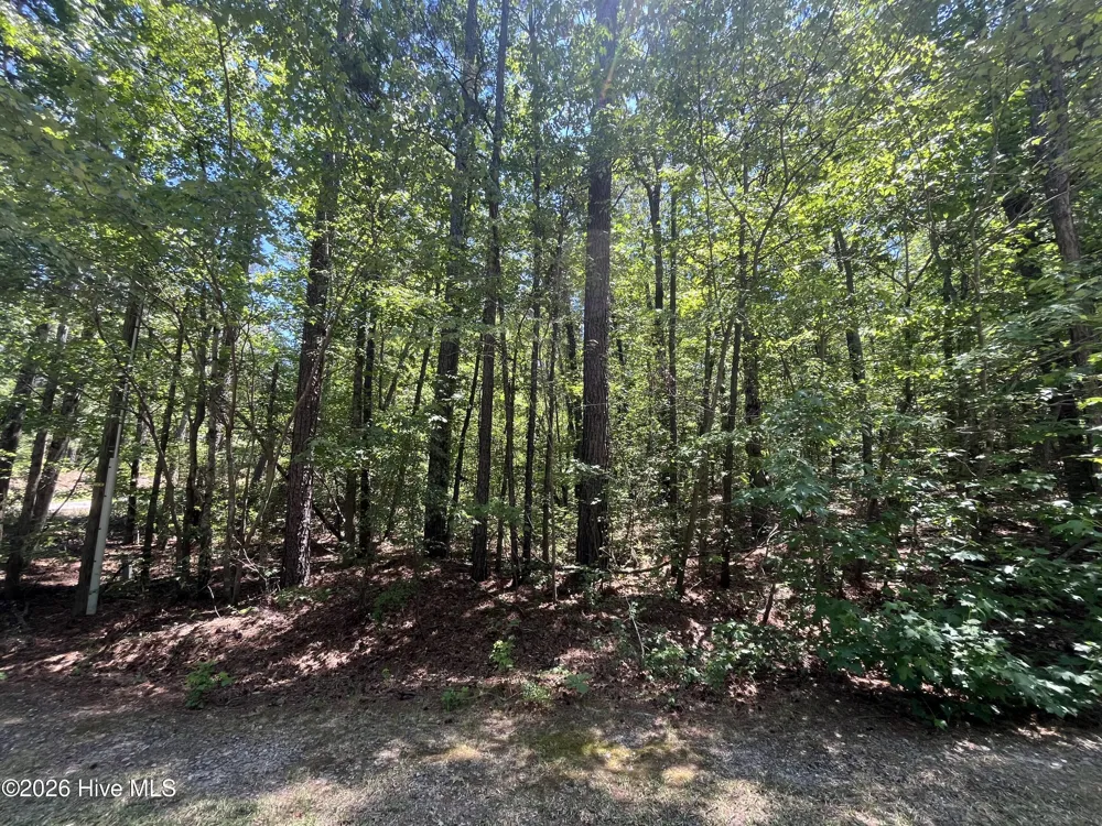849 Hawthorne Drive Vass, NC 28394