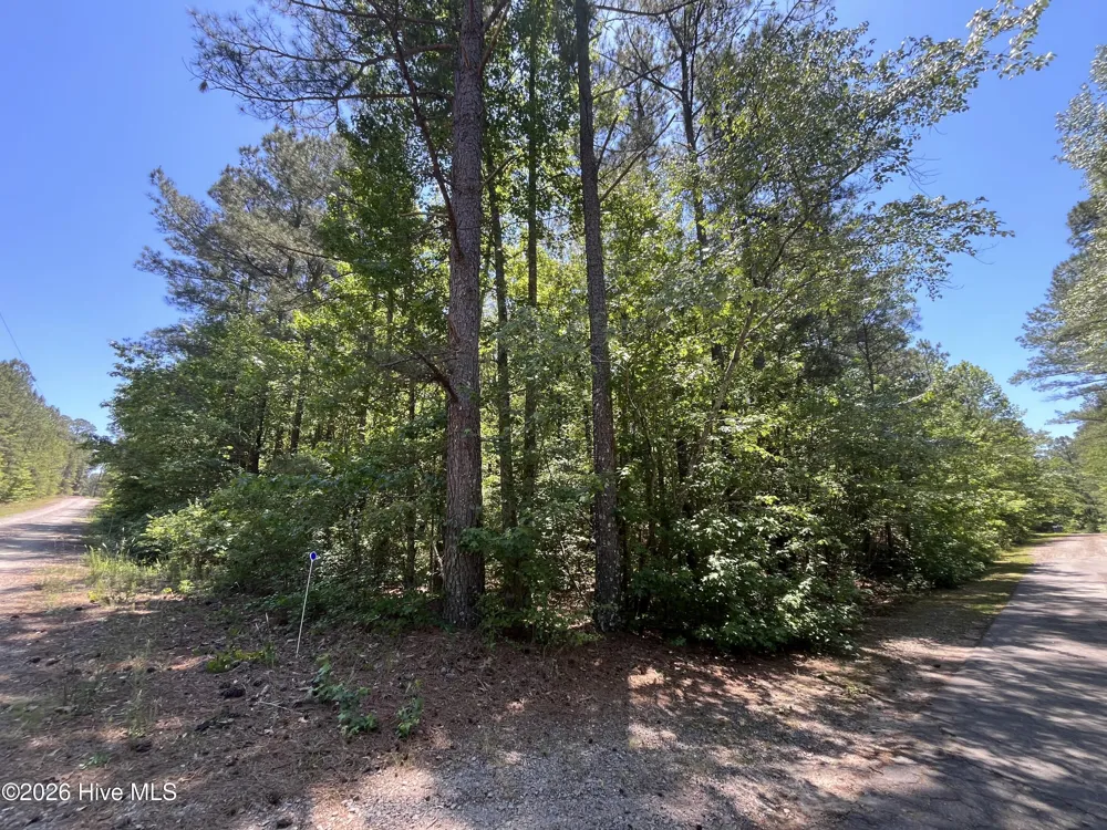 849 Hawthorne Drive Vass, NC 28394