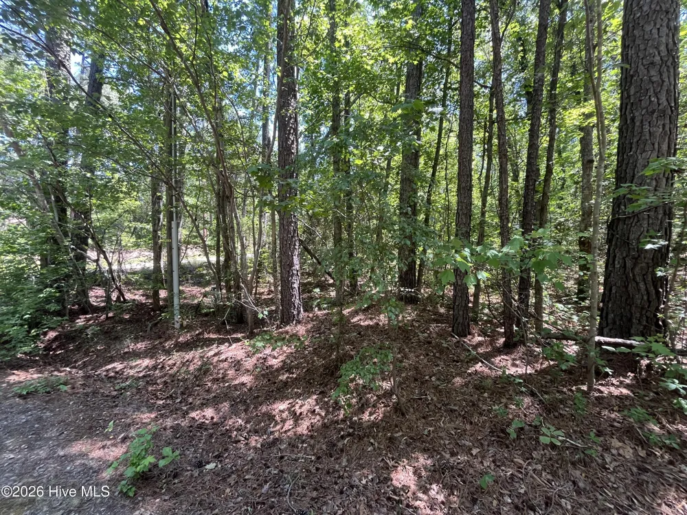 849 Hawthorne Drive Vass, NC 28394
