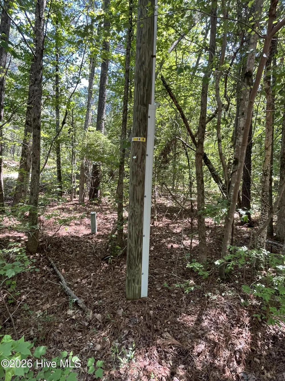 849 Hawthorne Drive Vass, NC 28394