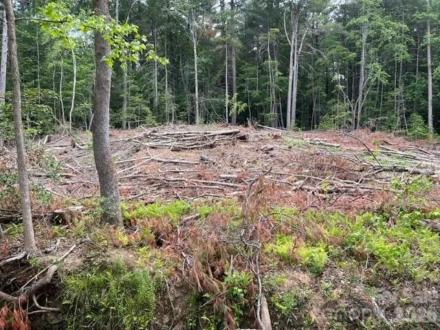 TBD Fowler Road Granite Falls, NC 28630