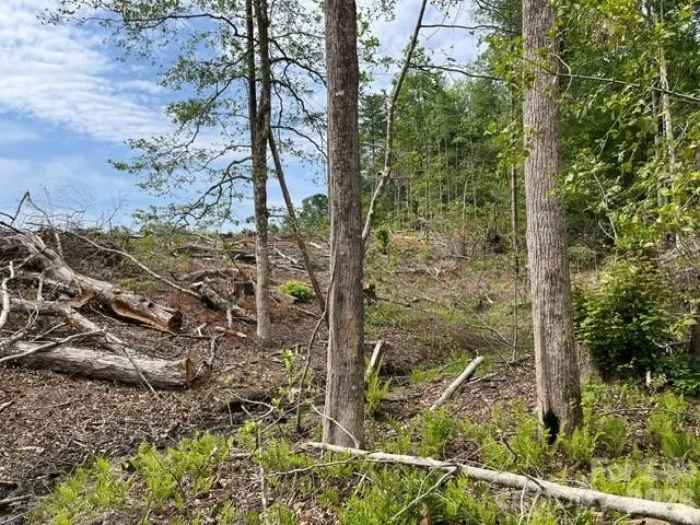 TBD Fowler Road Granite Falls, NC 28630