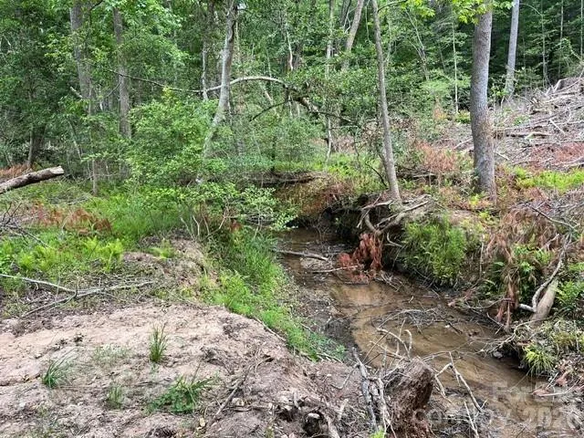 TBD Fowler Road Granite Falls, NC 28630