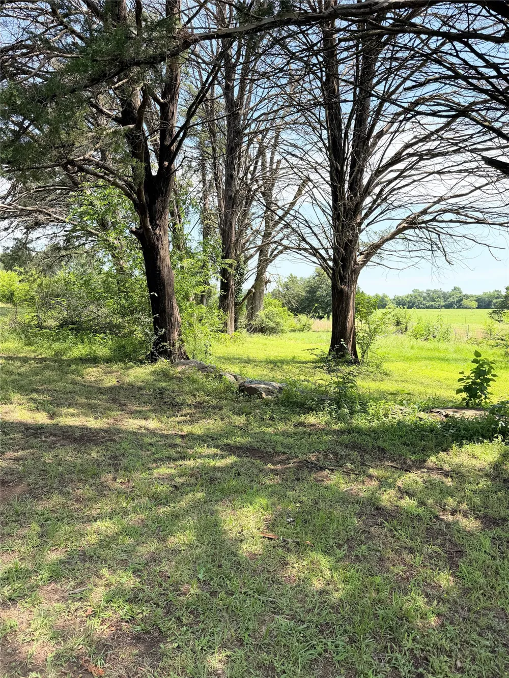 3 LCR 864 Jewett, TX 75846
