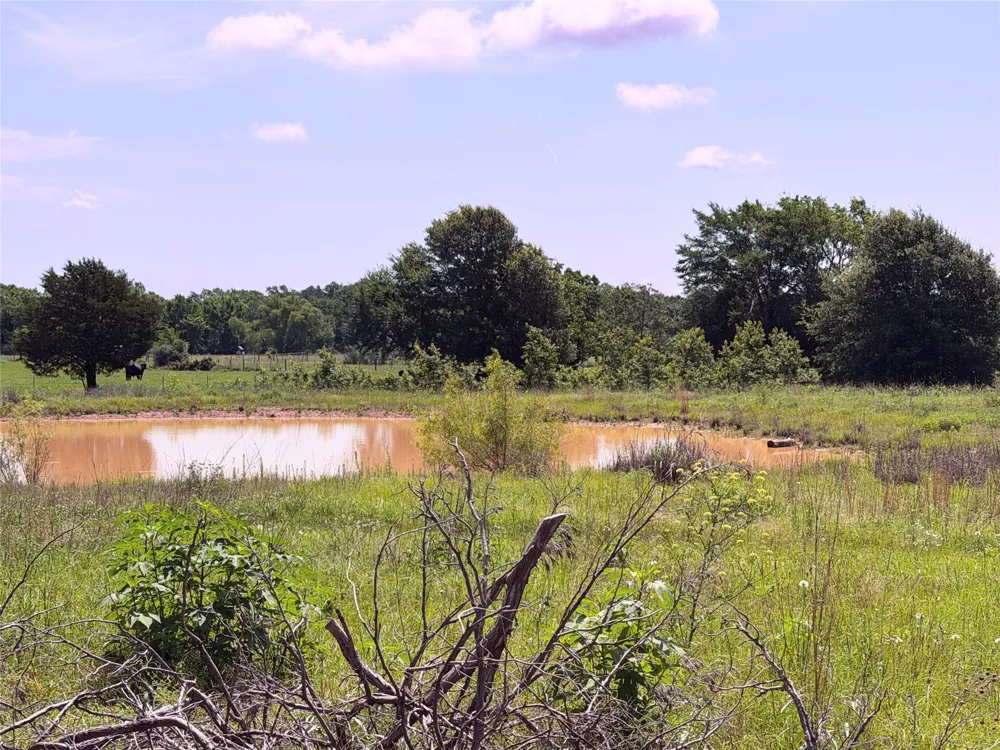 3 LCR 864 Jewett, TX 75846