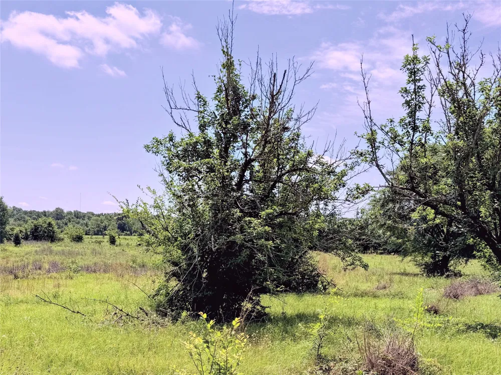 3 LCR 864 Jewett, TX 75846