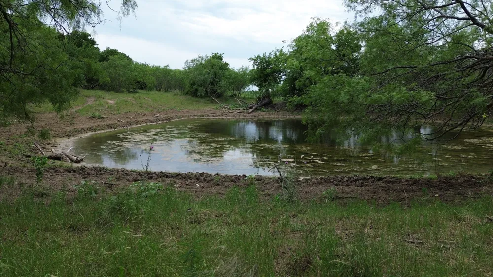 N County RD 3110 Hillsboro, TX 76645