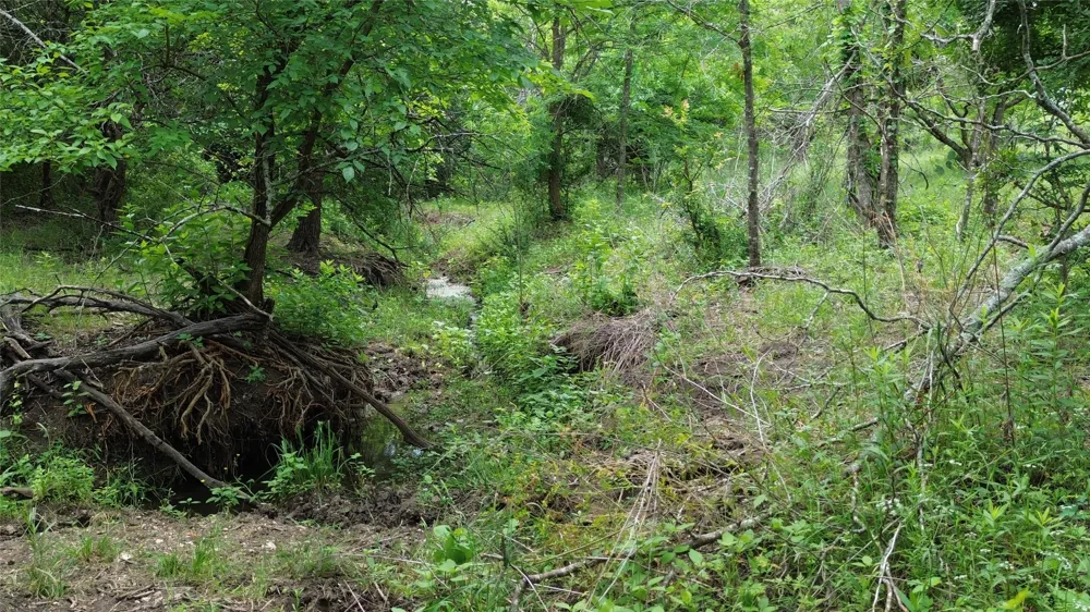 N County RD 3110 Hillsboro, TX 76645