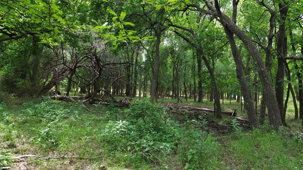 N County RD 3110 Hillsboro, TX 76645