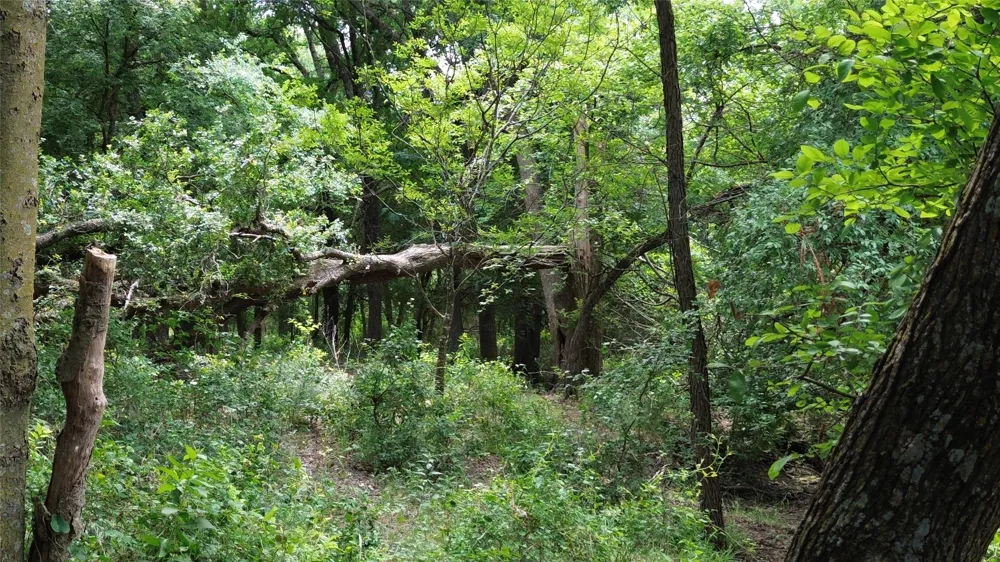 N County RD 3110 Hillsboro, TX 76645