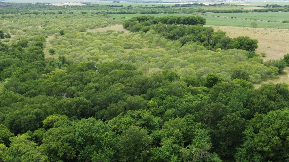 N County RD 3110 Hillsboro, TX 76645