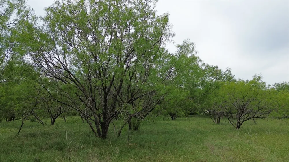 N County RD 3110 Hillsboro, TX 76645