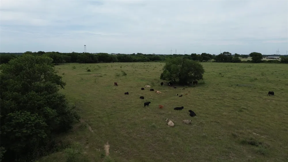 N County RD 3110 Hillsboro, TX 76645
