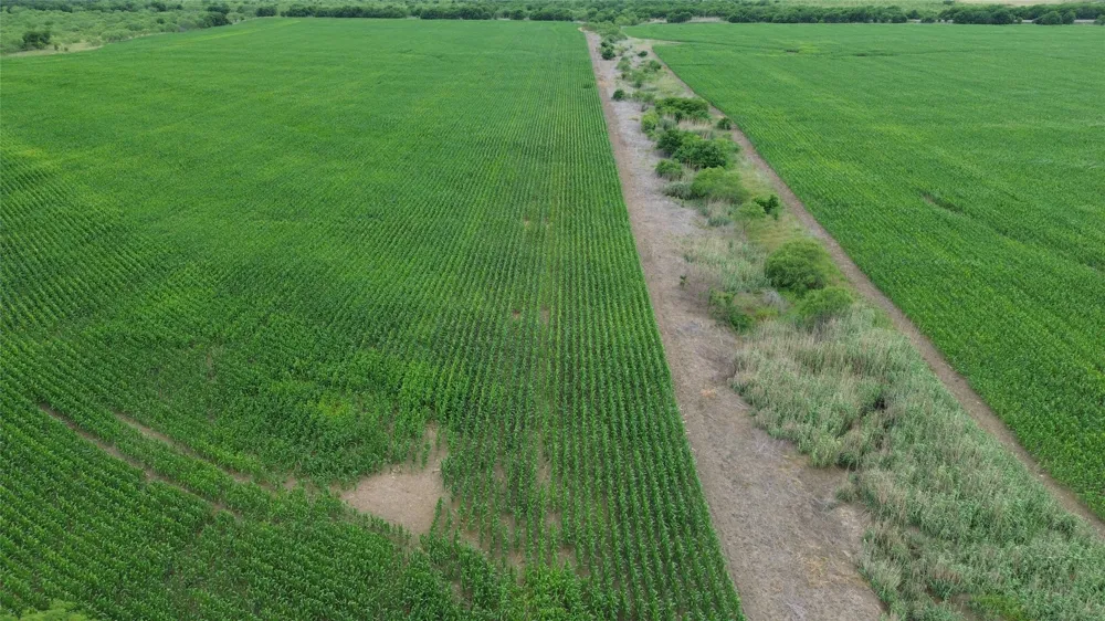 N County RD 3110 Hillsboro, TX 76645