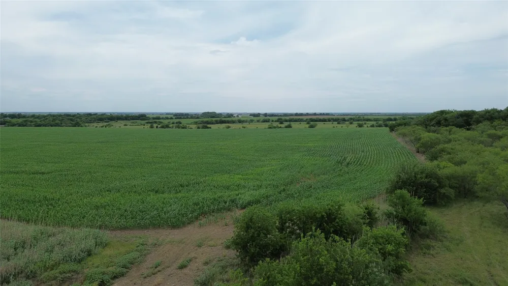 N County RD 3110 Hillsboro, TX 76645