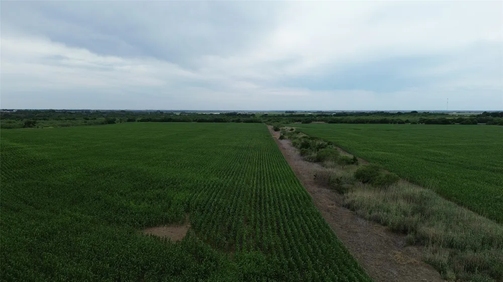 N County RD 3110 Hillsboro, TX 76645