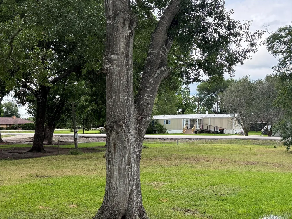 407 3rd Street Beasley, TX 77417