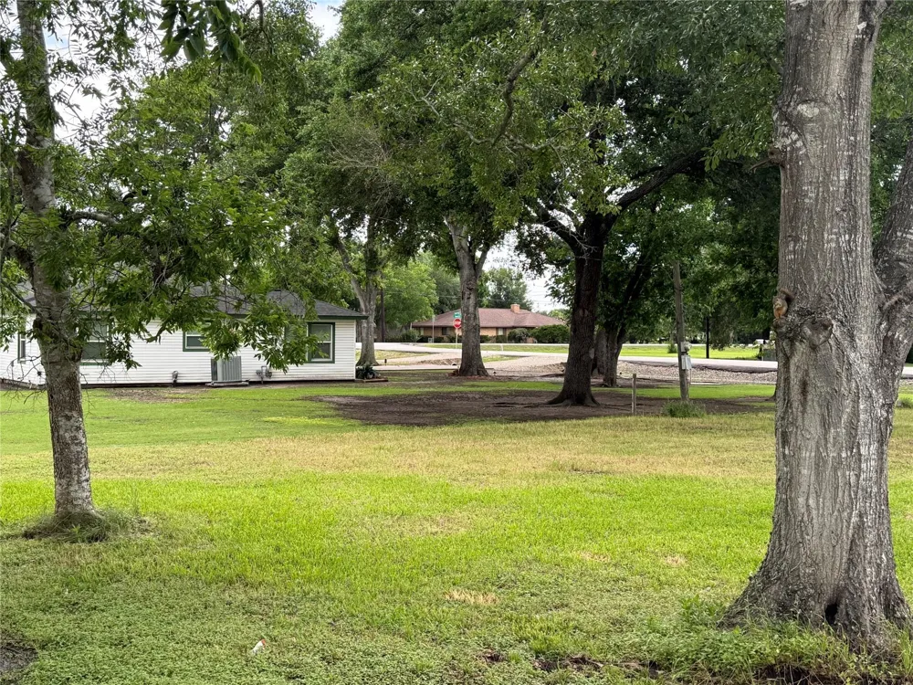407 3rd Street Beasley, TX 77417