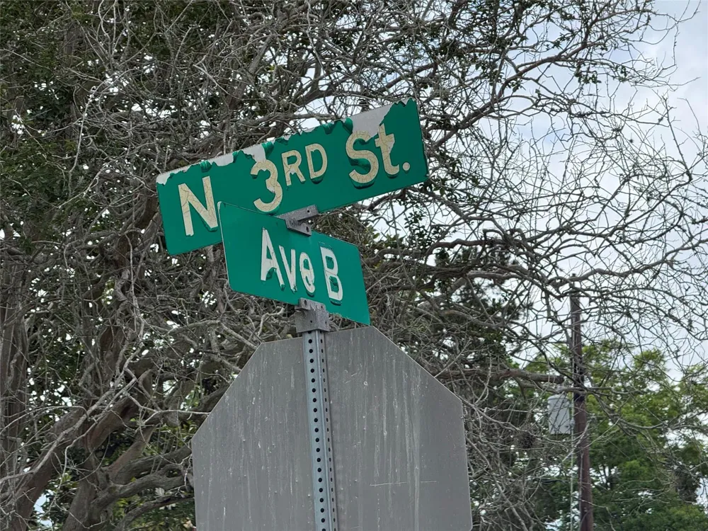 407 3rd Street Beasley, TX 77417