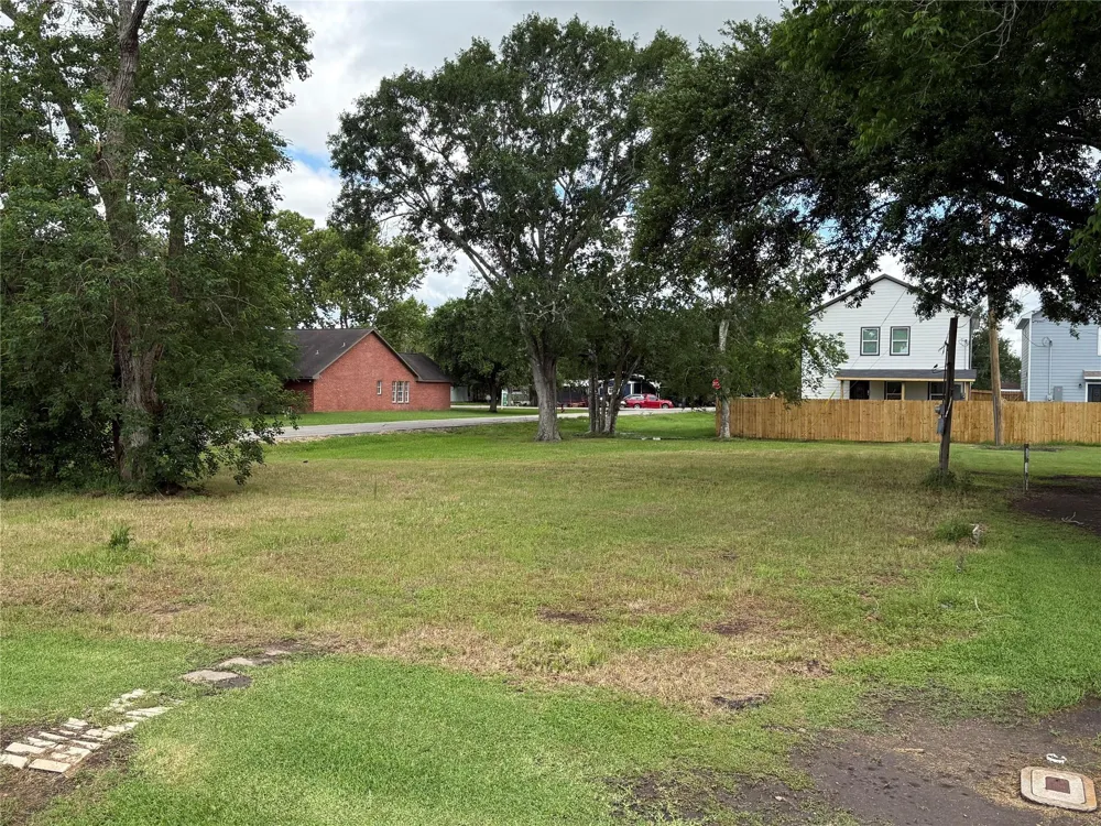407 3rd Street Beasley, TX 77417