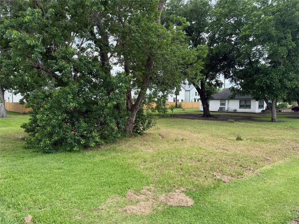 407 3rd Street Beasley, TX 77417