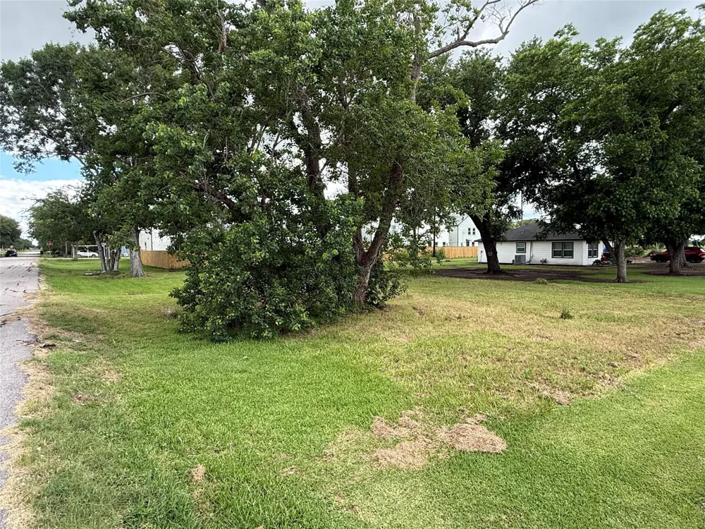 407 3rd Street Beasley, TX 77417